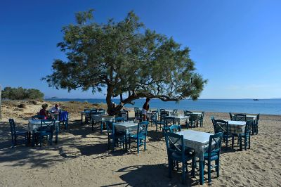 Naxos , Paradiso Taverna

