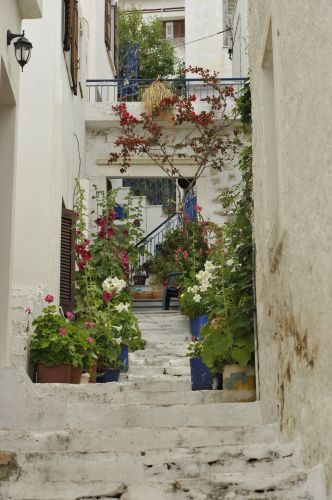 Naxos, Hellas
Keywords: Naxos,Hellas,Greece