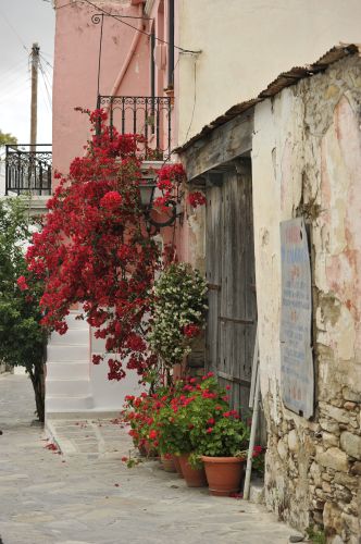 Naxos, Hellas
Keywords: Naxos,Hellas,Greece