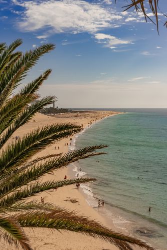 Fuerteventura
Bilder fra fuerteventura
Keywords: Fuerteventure;Canary;Spain;Spania