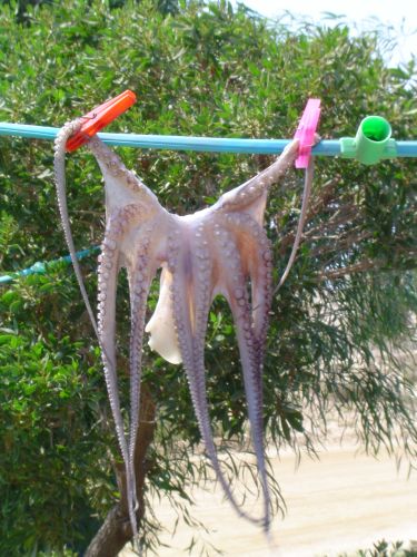 Naxos, Hellas
Bilder fra den greske øya Naxos
Keywords: Naxos;Greece;Hellas;Kykladene