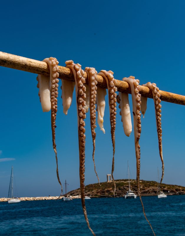 Naxos
Keywords: Naxos;Greece;Greek;Island;Kykladene;Cyclades