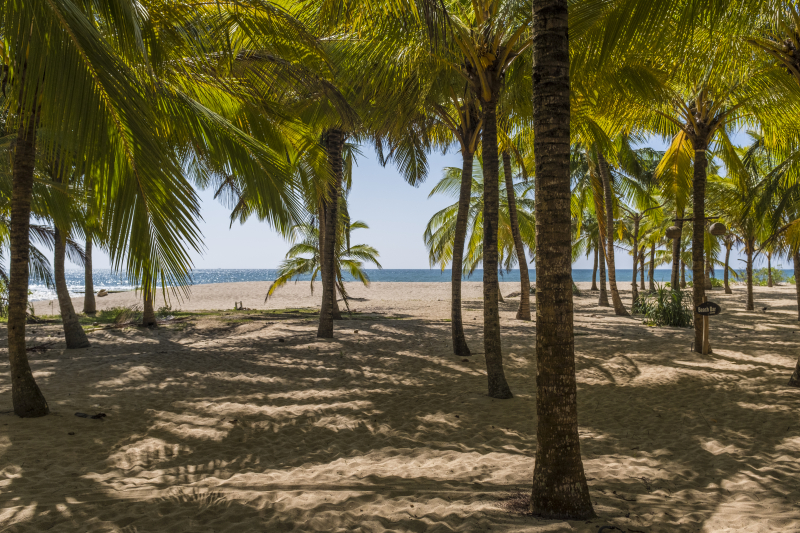 Tangalle
Keywords: Tangalle;Sri Lanka;Ceylon;Asia