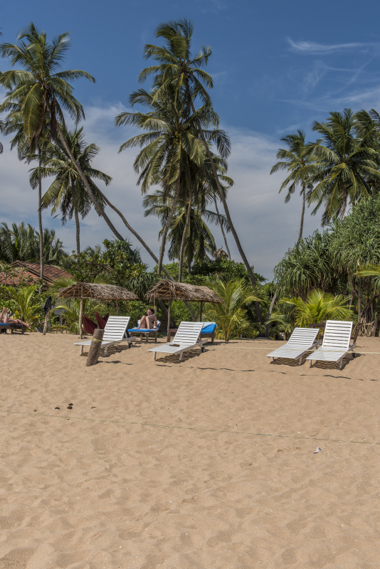 Tangalle
Keywords: Tangalle;Sri Lanka;Ceylon;Asia;Strand;Beach