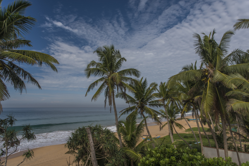 Tangalle
Keywords: Tangalle;Sri Lanka;Ceylon;Asia