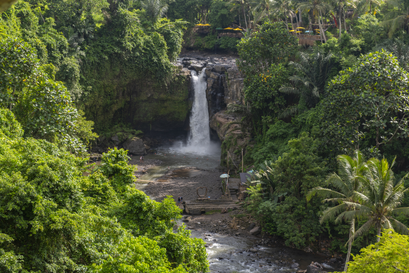 Ubud, Bali
Keywords: Ubud;Indonesia;Bali;Asia