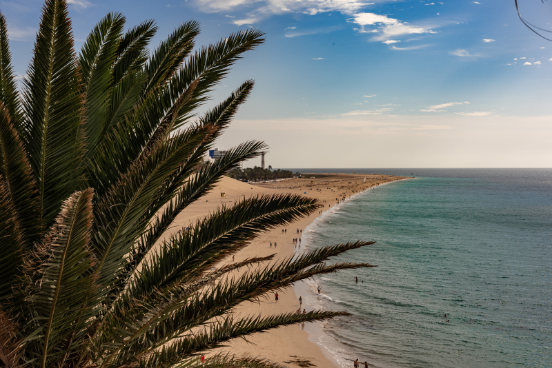 Morro Jable, Fuerteventura
From the beach at Morro Jable
Keywords: Spain;Beach;Jandina;Morro Jable;Strand;Nudist;Naturist;Fuerteventura