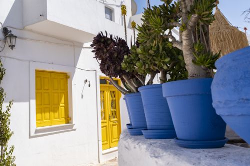 Koufonisia
Keywords: Koufonisia