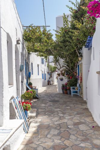 Koufonisia
Keywords: Koufonisia