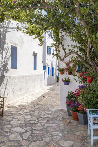 Koufonisia
Keywords: Koufonisia